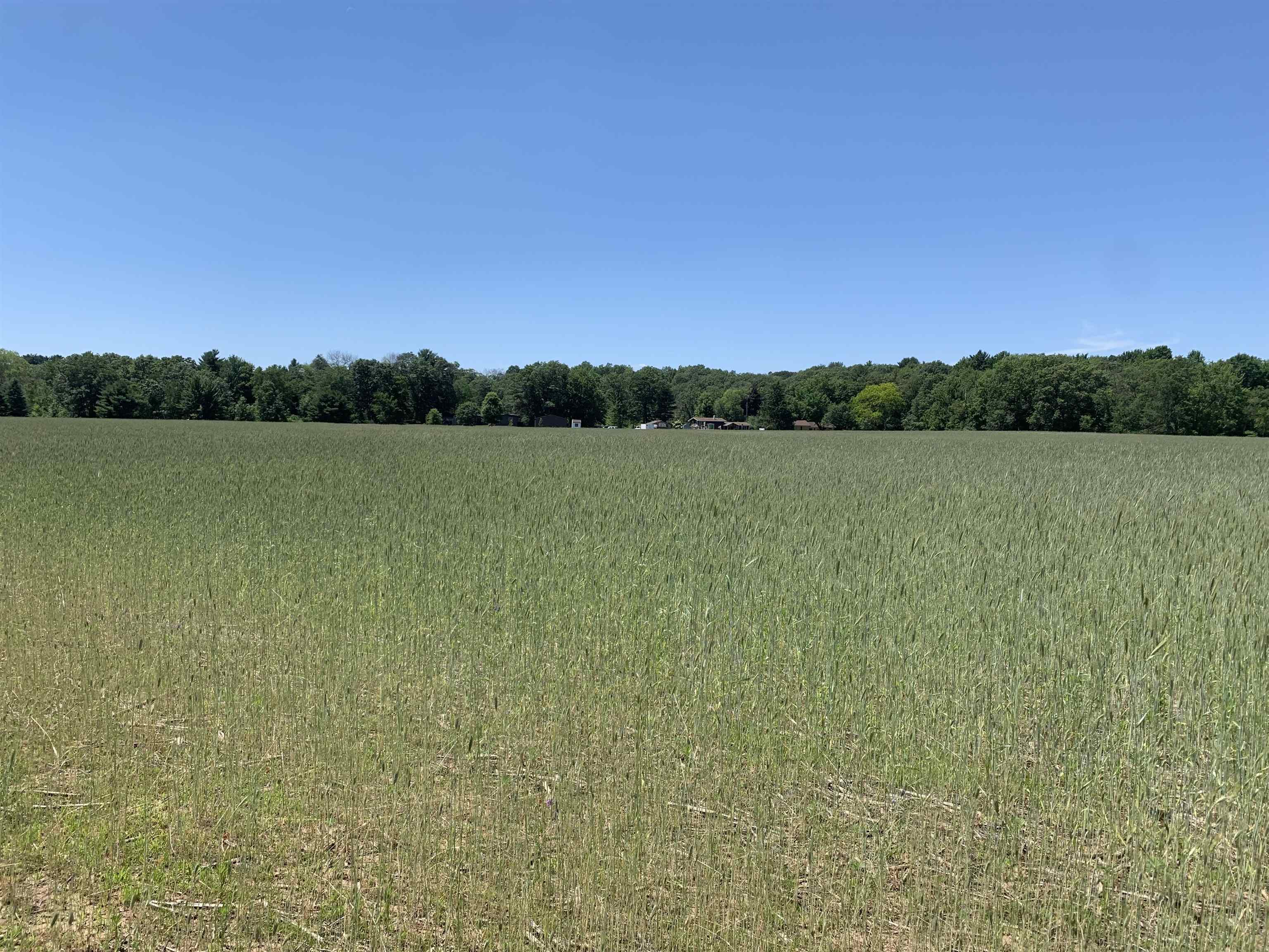 2001 Highway 54 Waupaca, WI 54981 - Photo 9 of 11