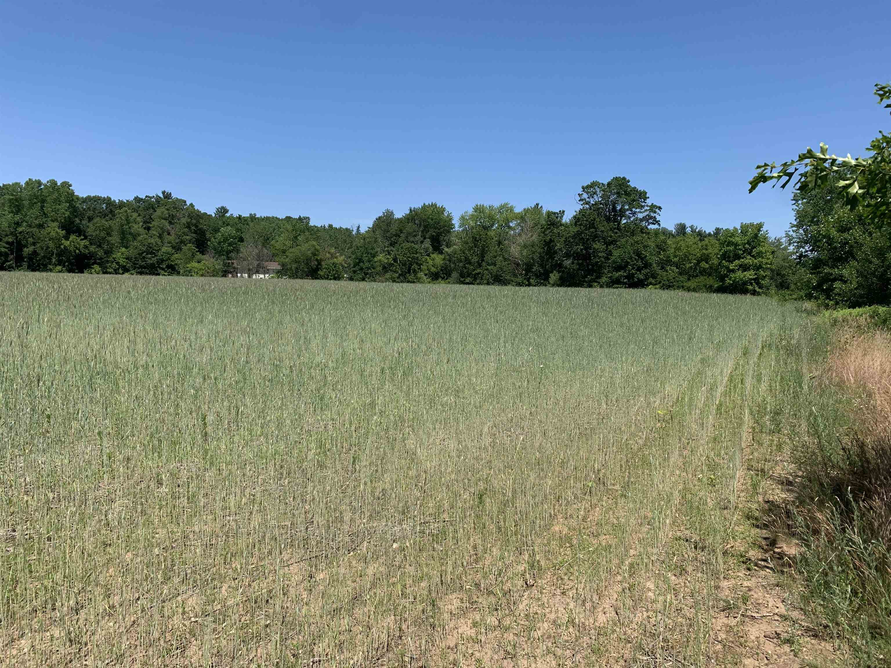 2001 Highway 54 Waupaca, WI 54981 - Photo 10 of 11