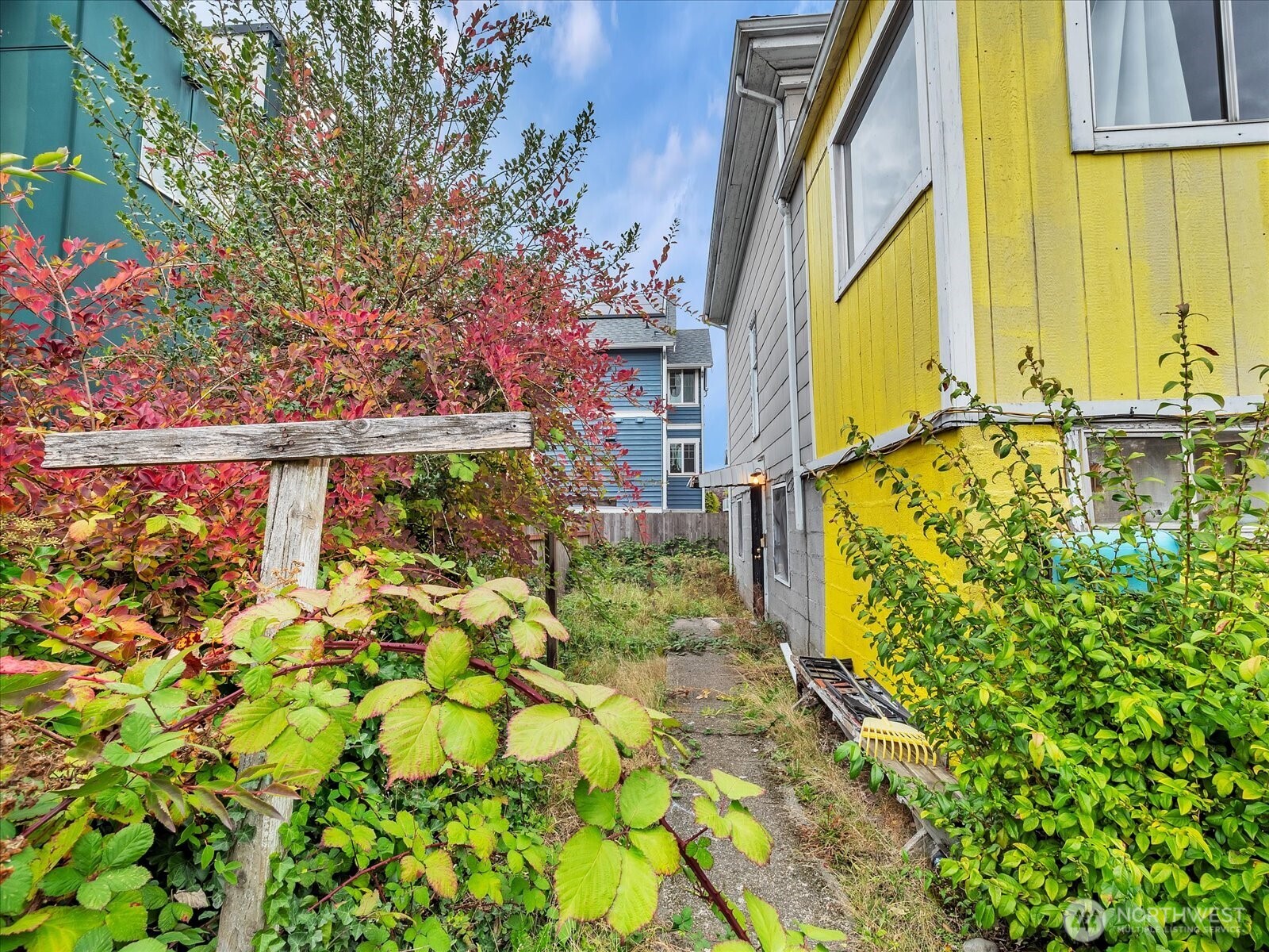 203 23rd Avenue Seattle, WA 98122 - Photo 4 of 26