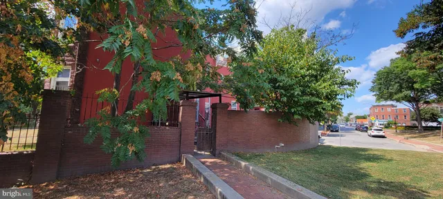 a view of a park with plants and a bench