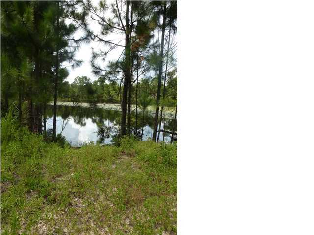 Lot 30 Spotted Dolphin Santa Rosa Beach Santa Rosa Beach, FL 32459 - Photo 2 of 2 a view of a lake in middle of forest