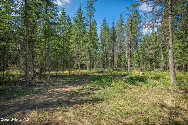 $229,900 | L1 Smokewood Drive, Athol, ID 83801