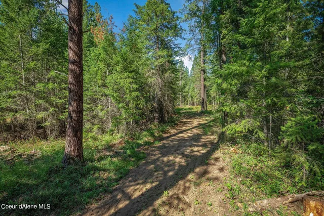 $229,900 | L1 Smokewood Drive, Athol, ID 83801