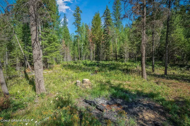 $229,900 | L1 Smokewood Drive, Athol, ID 83801