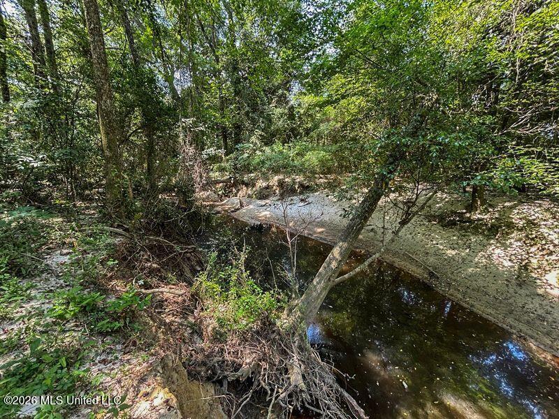 1163 John Amacker Road Poplarville, MS 39470 - Photo 44 of 44 45