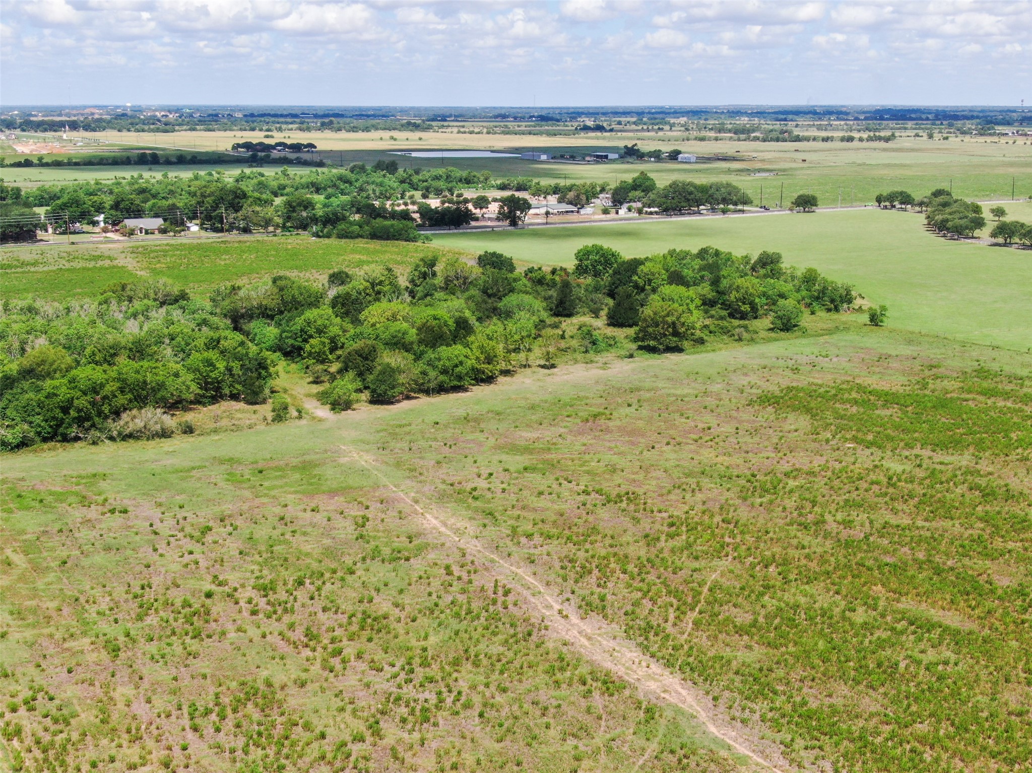 98-ac Field Store Road Waller, TX 77484 - Photo 12 of 13