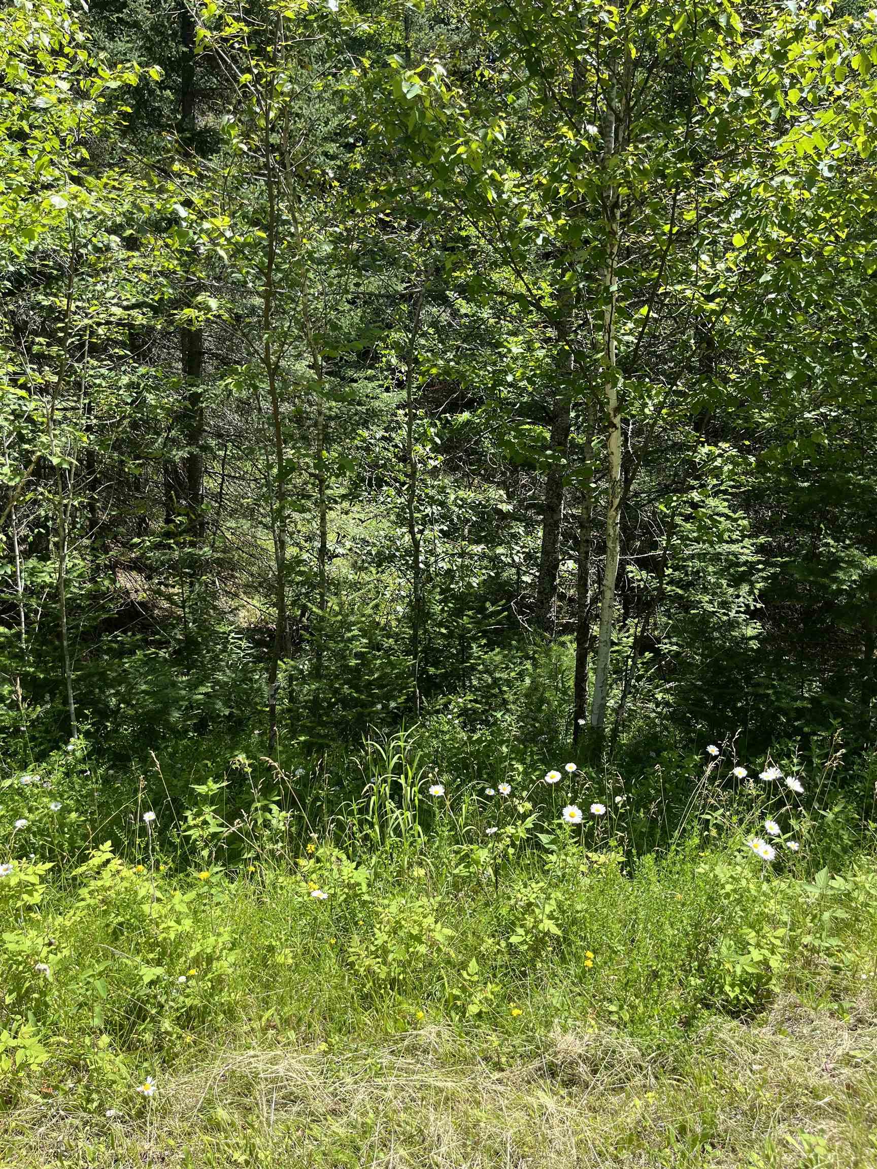 Angel Crest Ln Unit 8  