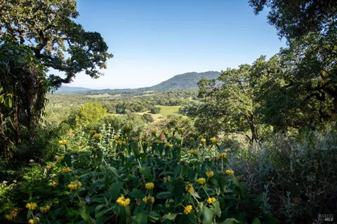 $5,995,000 | 4296 Savannah Trail, Santa Rosa, CA 95404