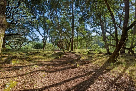$5,995,000 | 4296 Savannah Trail, Santa Rosa, CA 95404