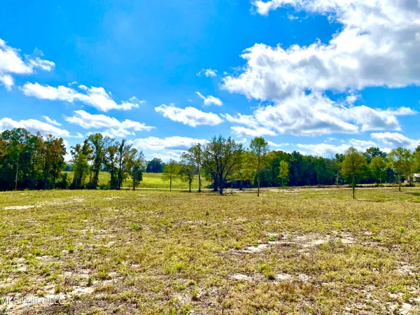 $100,000 | Mcneil Henleyfield Road, Carriere, MS 39426