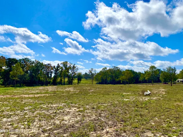 $100,000 | Mcneil Henleyfield Road, Carriere, MS 39426