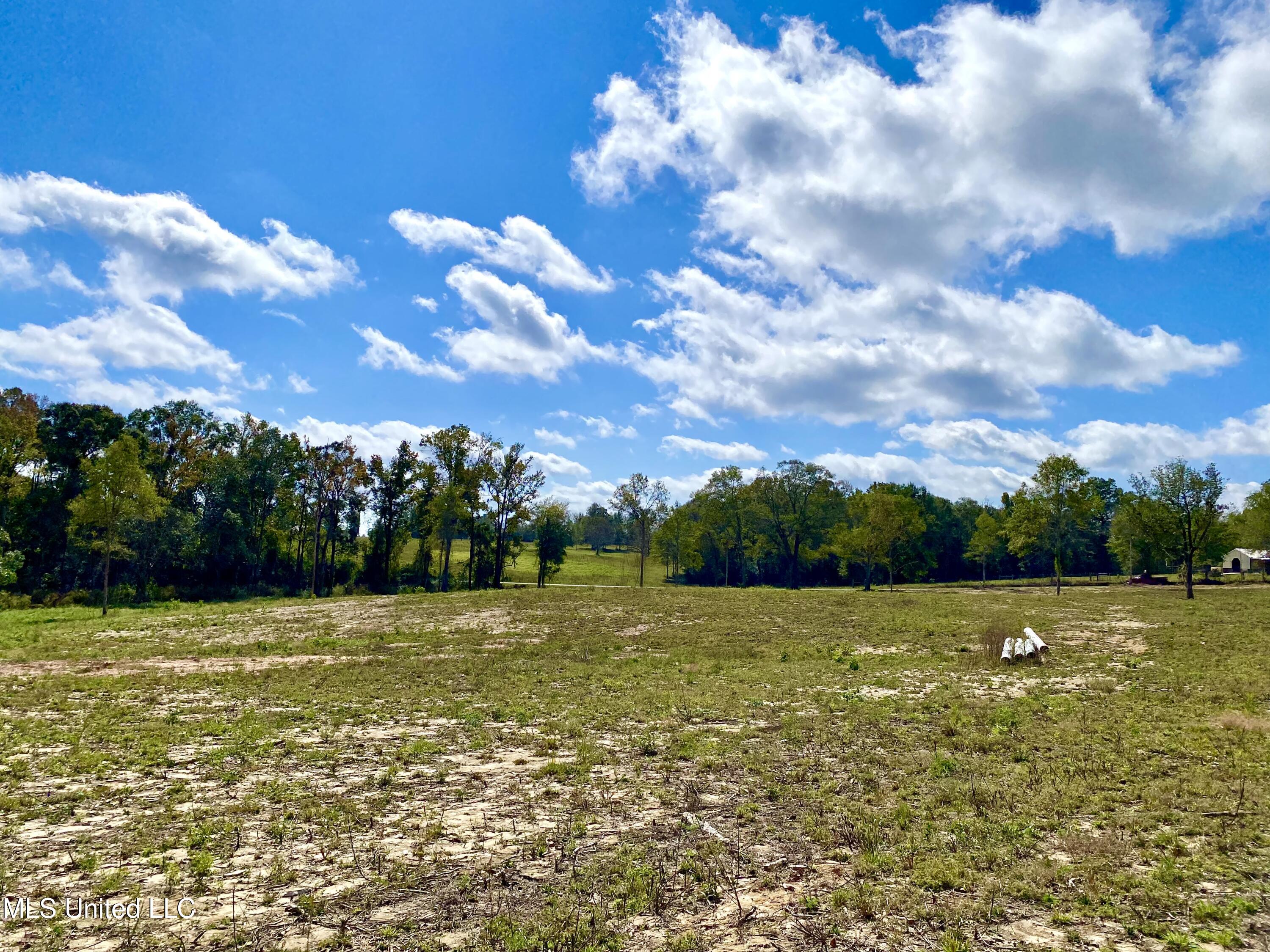 Mcneil Henleyfield Road Carriere, MS 39426 - Photo 2 of 4 2, IMG_6543