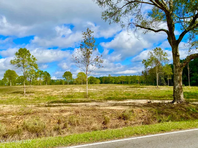 $100,000 | Mcneil Henleyfield Road, Carriere, MS 39426
