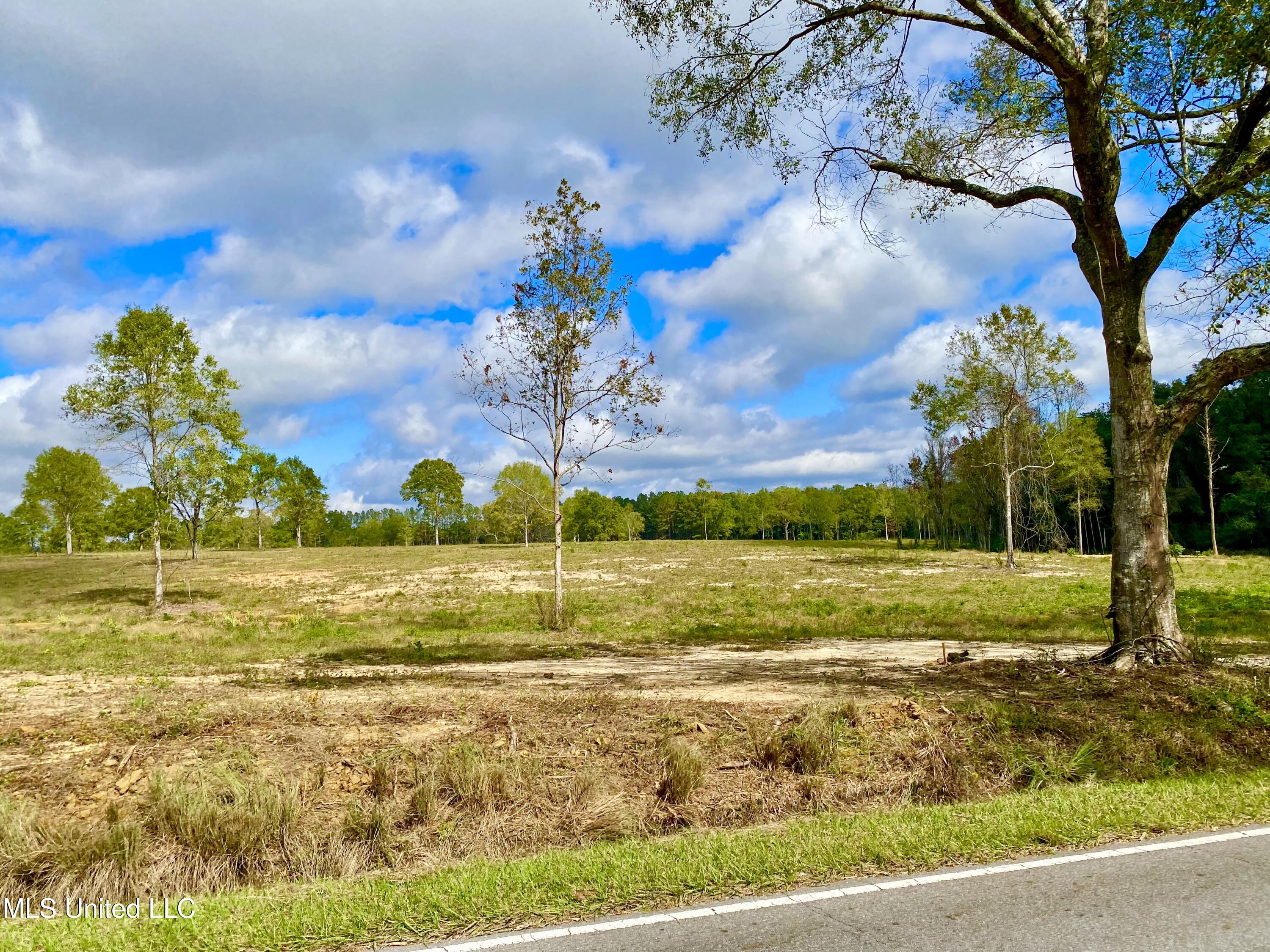 Mcneil Henleyfield Road Carriere, MS 39426 - Photo 3 of 4 3, IMG_6554