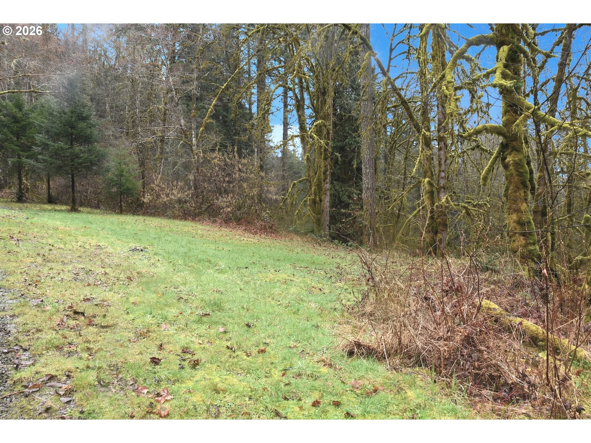 39000 Northwest Shermans Mill Road Banks, OR 97106 - Photo 35 of 38 a view of a yard with a tree