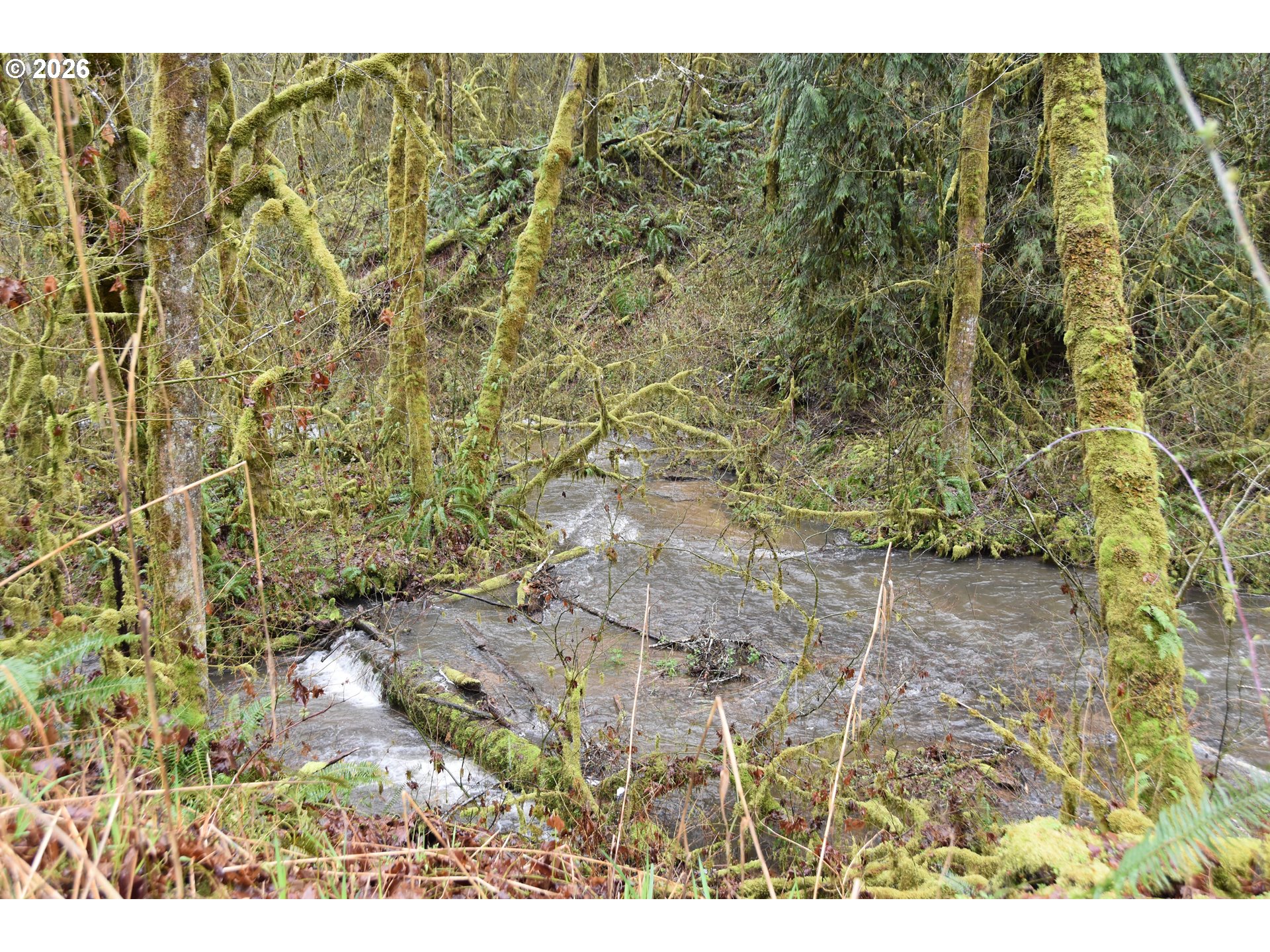 39000 Northwest Shermans Mill Road Banks, OR 97106 - Photo 37 of 38 a view of a yard