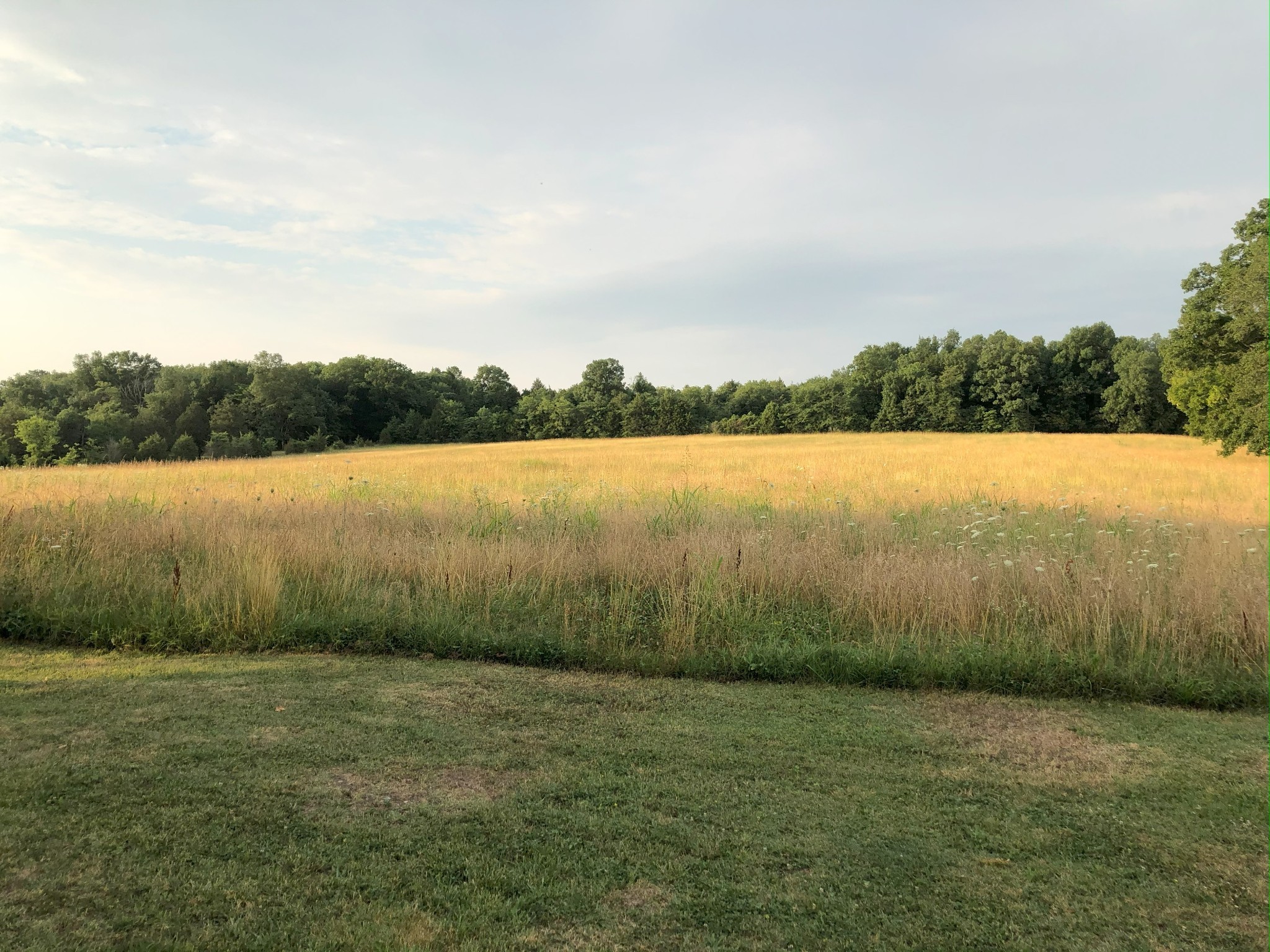4840 Joe Peay Road Spring Hill, TN 37174 - Photo 22 of 45 Gallery Image 22