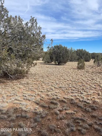 $11,000 | 54372 North Via De Oro Parkway, Seligman, AZ 86337