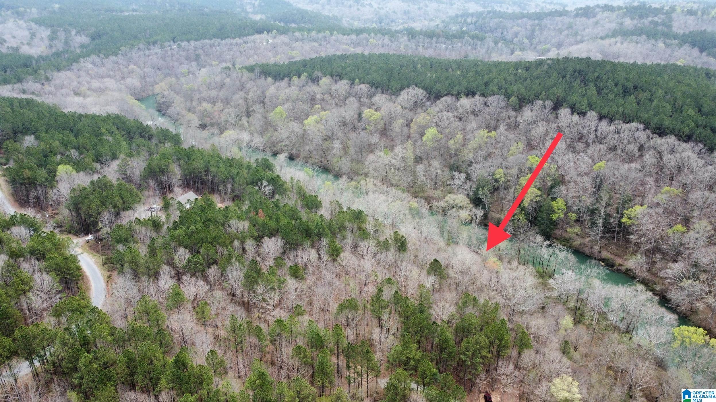 Lot 16 Turkey Bend Drive, Unit 16 Addison, AL 35540 - Photo 19 of 19