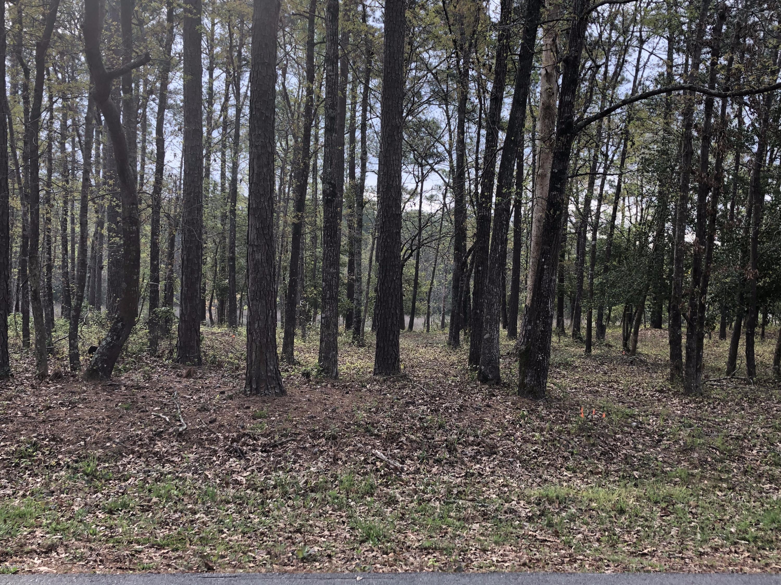 622 Ravenswood Road Hampstead, NC 28443 - Photo 2 of 4 IMG_0965
