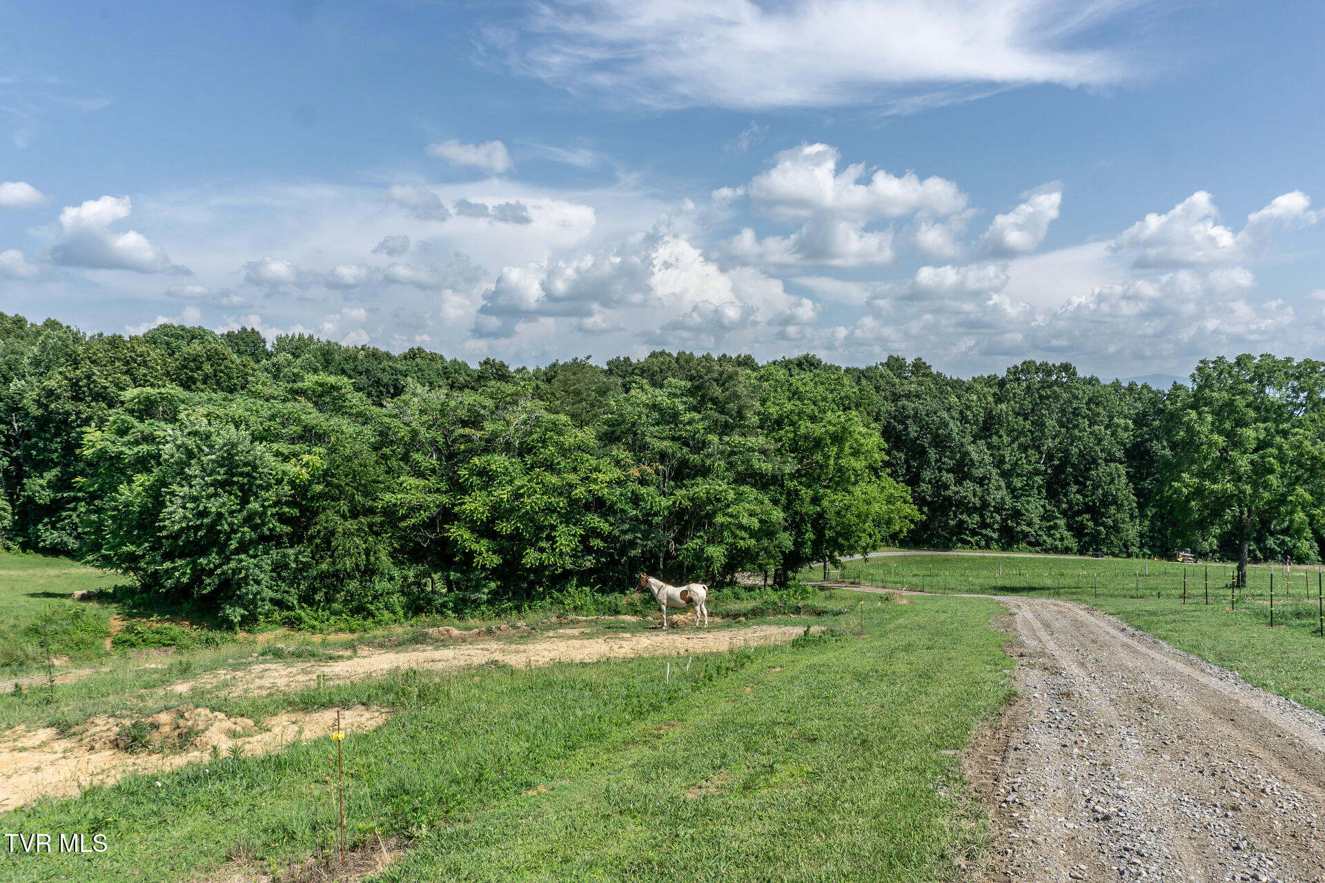 255 Jeffers Lane Limestone, TN 37681 - Photo 68 of 70 255JeffersLnL_044
