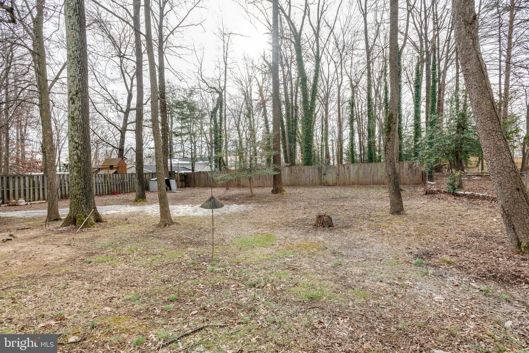 6902 Sydenstricker Road Springfield, VA 22152 - Photo 28 of 28 View Rear Yard