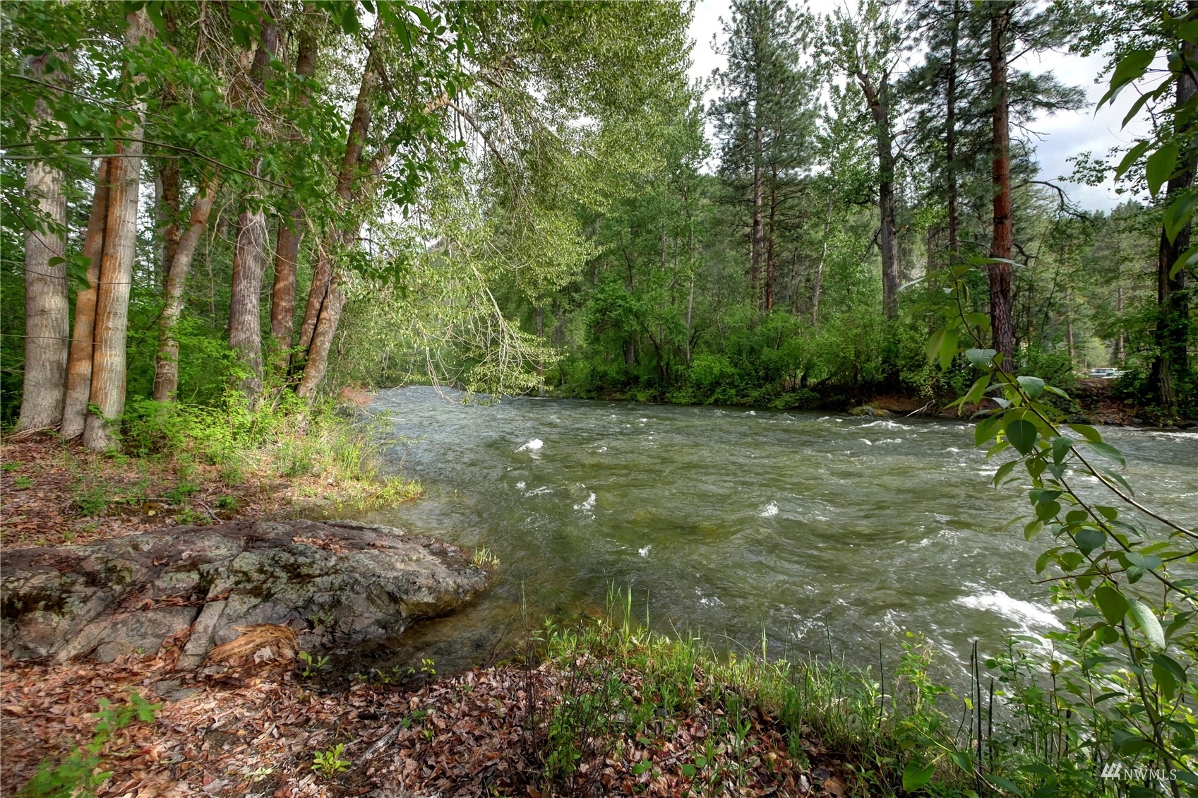 155 Twisp River Road Twisp, WA 98856 - Photo 2 of 39 a view of a green field with lots of bushes
