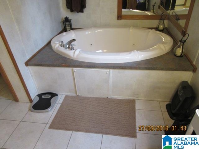 455 Francis Mill Road Ohatchee, AL 36271 - Photo 26 of 49