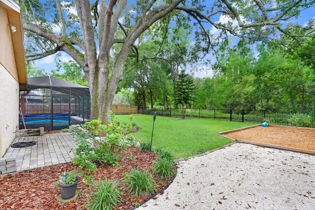 a view of a garden with plants and large trees