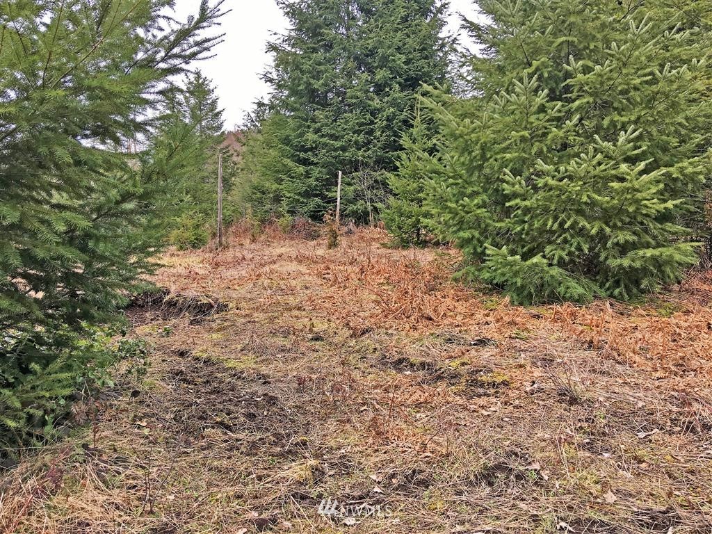 0 Short Road Morton, WA 98356 - Photo 3 of 13 Gallery Image 3