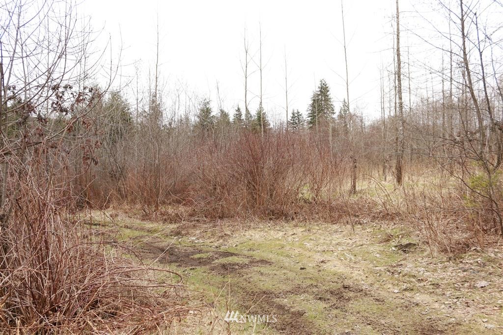 0 Short Road Morton, WA 98356 - Photo 10 of 13 Gallery Image 10
