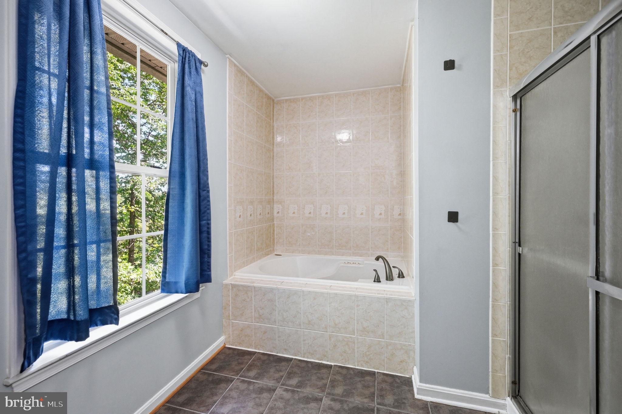 20 Raspberry Lane Stafford, VA 22554 - Photo 23 of 34 Primary jetted tub
