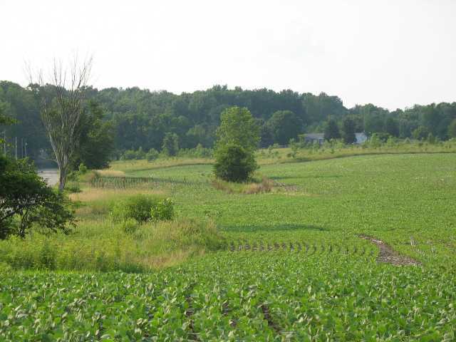 0 Morgan Center Road Mount Vernon, OH 43050 - Photo 3 of 4