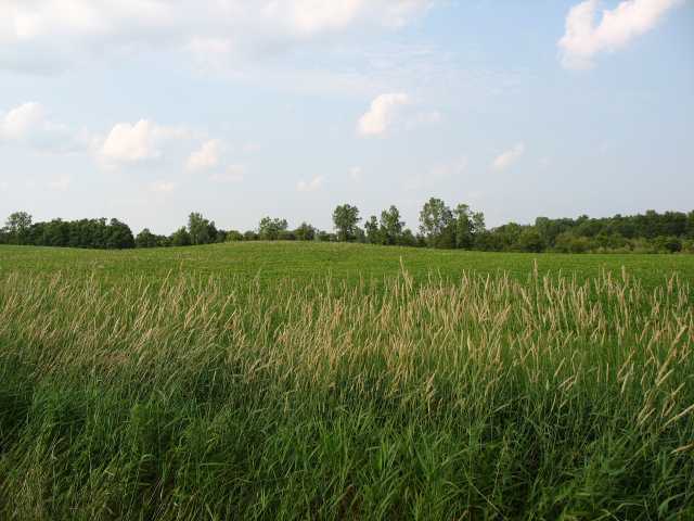 0 Morgan Center Road Mount Vernon, OH 43050 - Photo 4 of 4