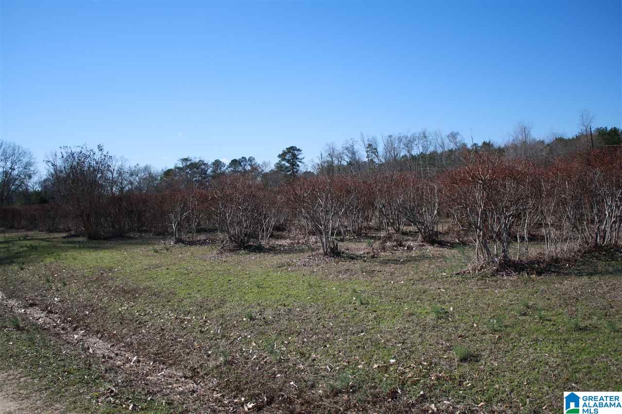 9502 County Road 15 Clanton, AL 35045 - Photo 31 of 34