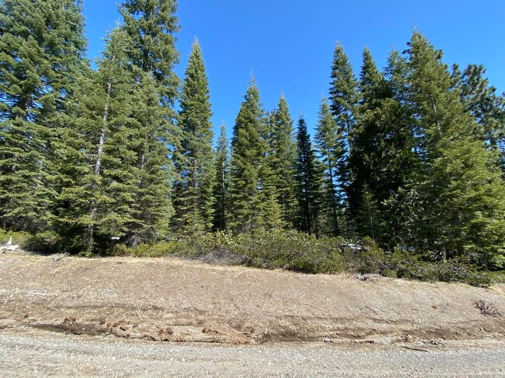 7 Ridge Drive McCloud, CA 96057 - Photo 23 of 26 Gallery Image 23