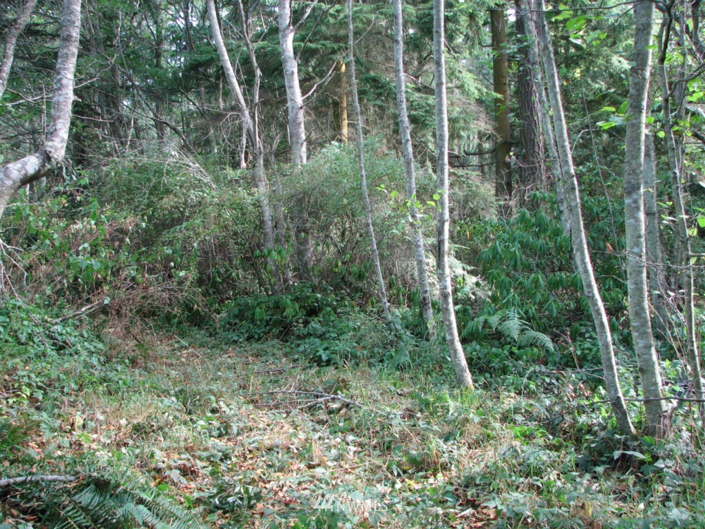 454 Middlepoint Road Port Townsend, WA 98368 - Photo 1 of 1 Gallery Image 1