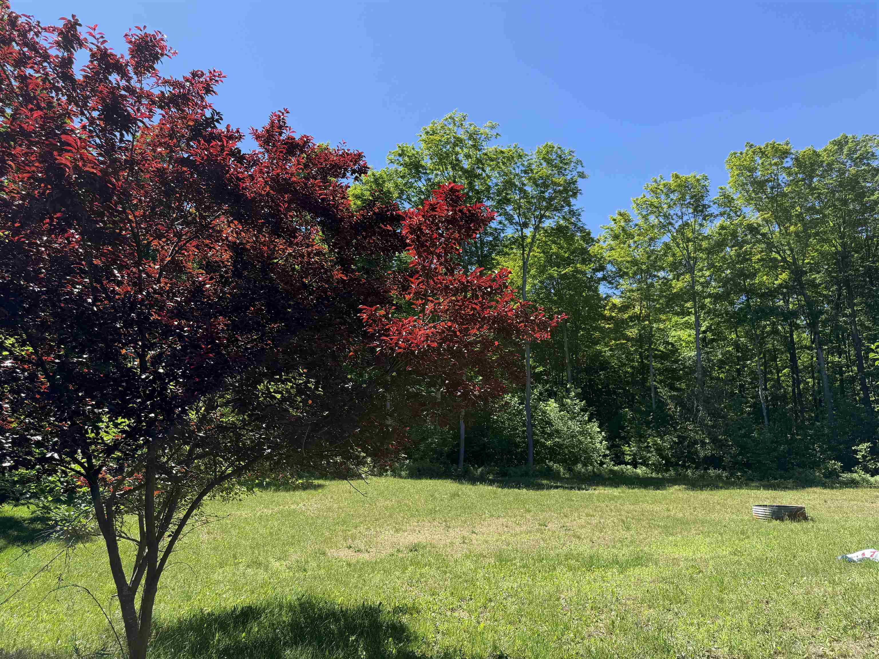 9233 Covert Road Northeast Mancelona, MI 49659 - Photo 12 of 15 1946990-870c9385-4ca4-4a4e-a77a-ecd9c5a71bfd.JPG