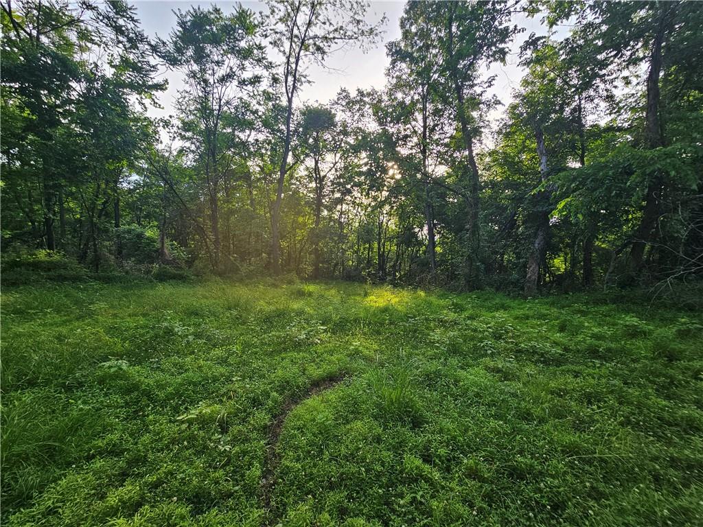 0 Fallen Timber Road Avella, PA 15312 - Photo 4 of 18