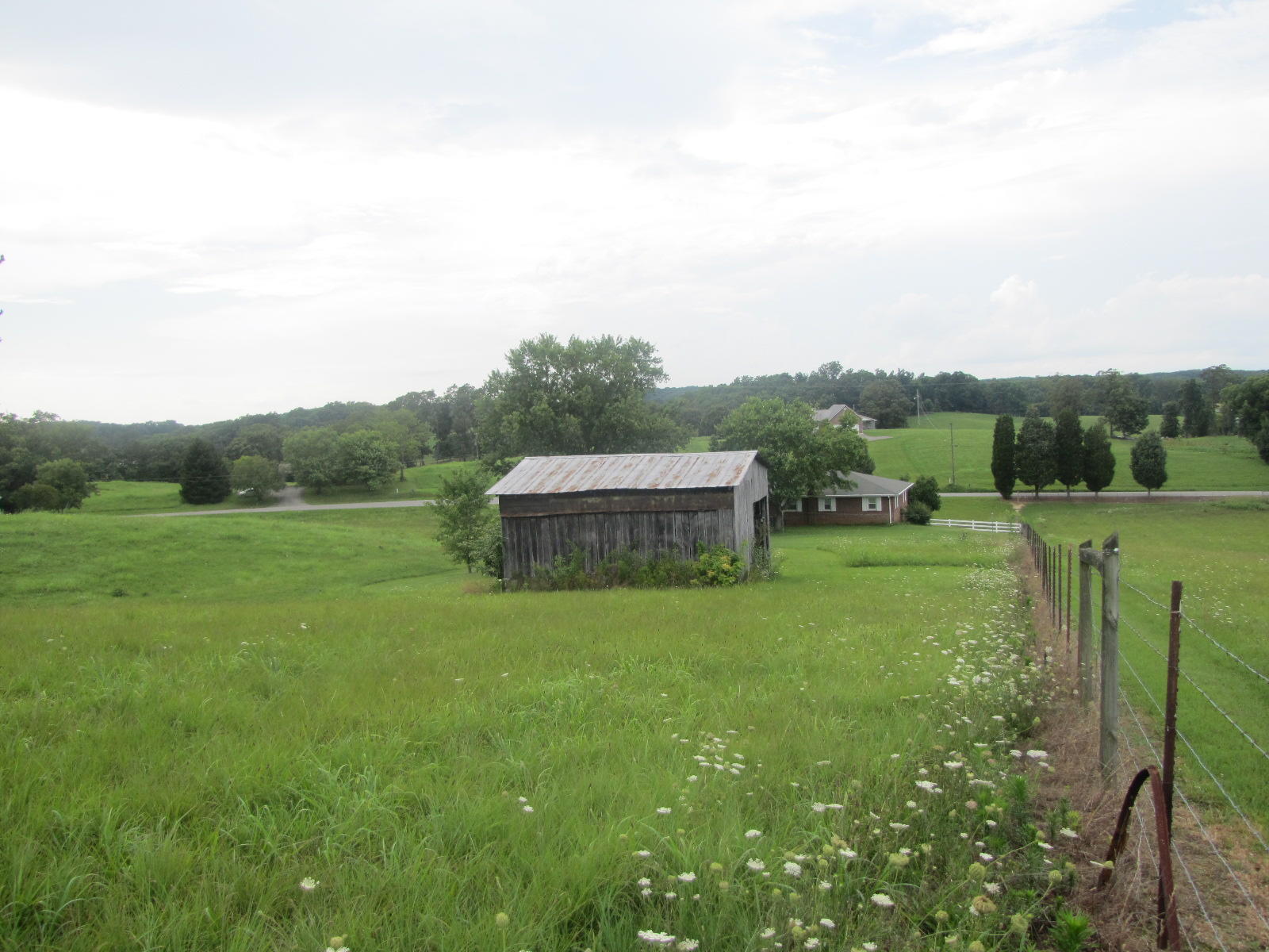5100 Davis Ferry Road Loudon, TN 37774 - Photo 11 of 34 IMG_5654