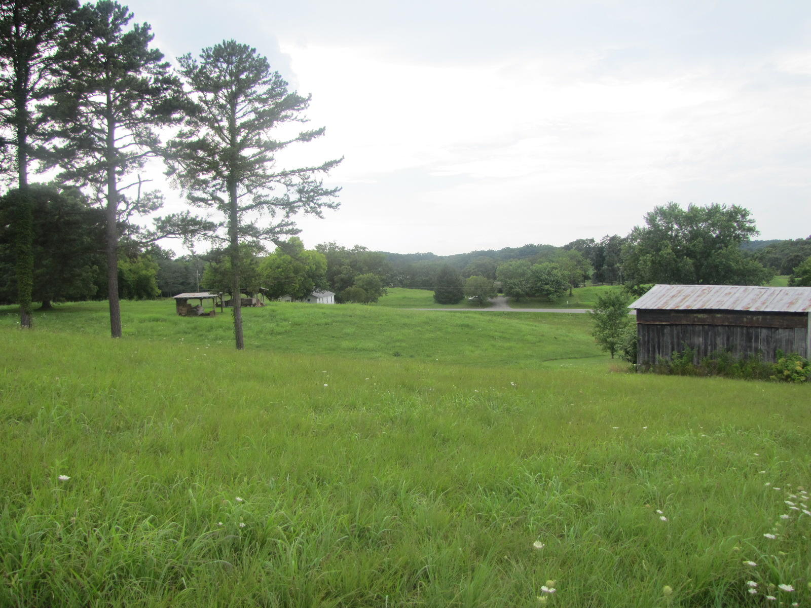 5100 Davis Ferry Road Loudon, TN 37774 - Photo 12 of 34 IMG_5655
