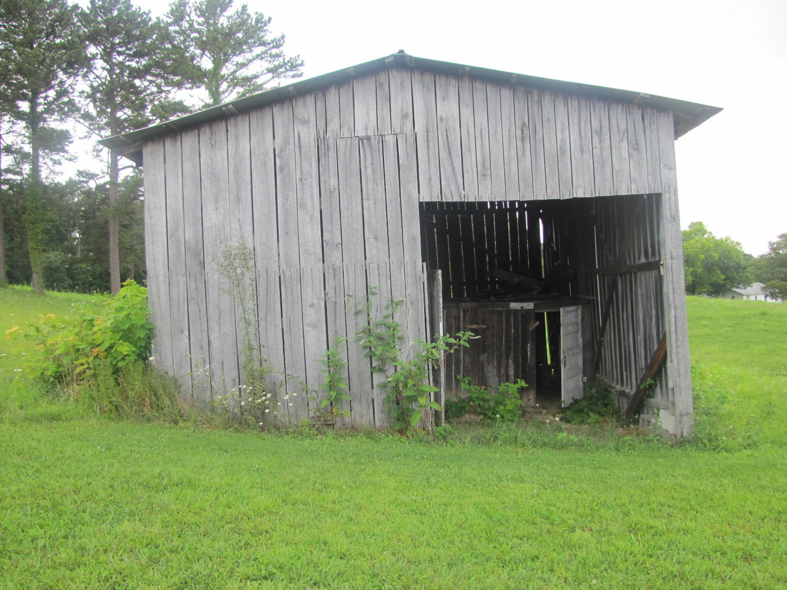 5100 Davis Ferry Road Loudon, TN 37774 - Photo 10 of 34 IMG_5653