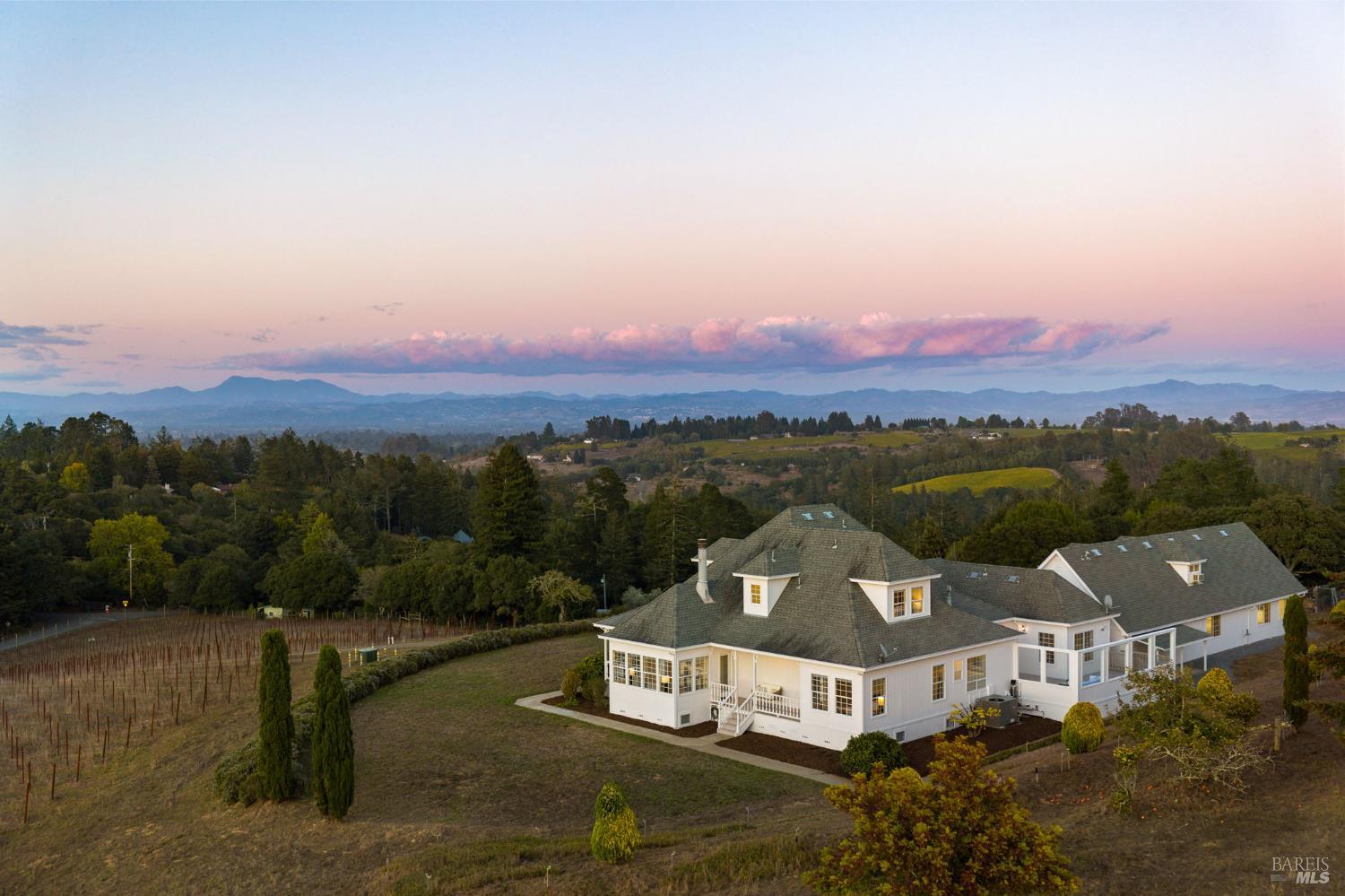 an aerial view of a house with a garden