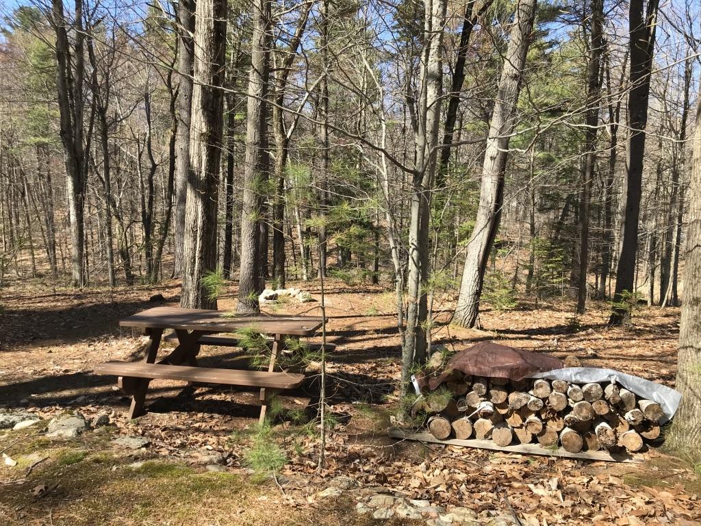 128 Starbird Corner Road Bowdoin, ME 04287 - Photo 3 of 30 UNADJUSTEDNONRAW_thumb_428e