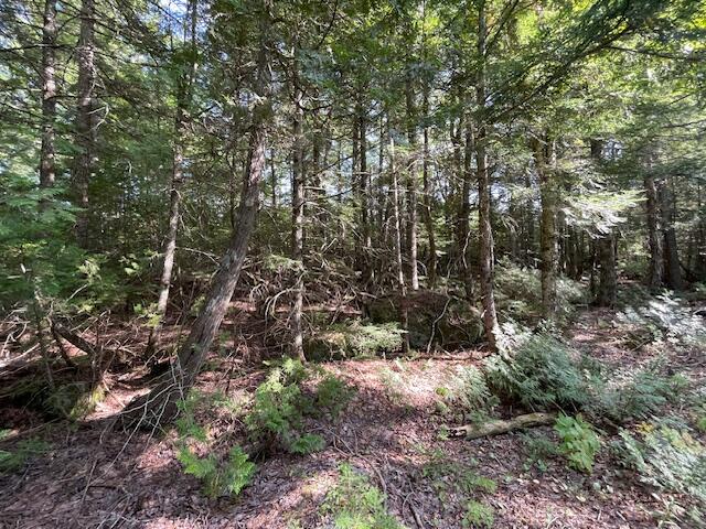 69 K Christmas Cove Road Crawford, ME 04694 - Photo 3 of 18 IMG_2596