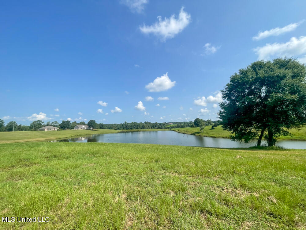 Lot 11 Conner Stringer Drive Lucedale, MS 39452 - Photo 44 of 54 IMG_2315