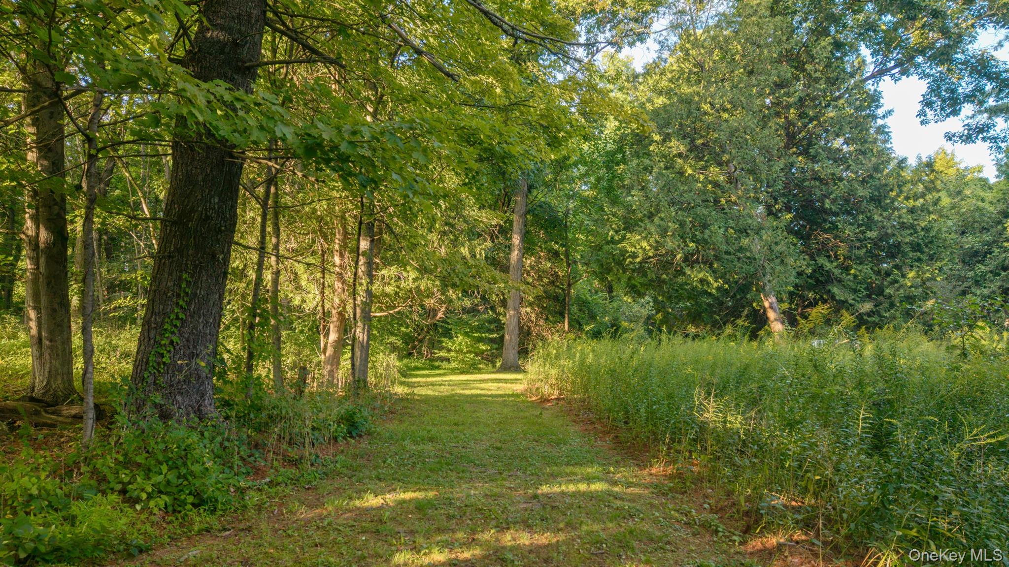 4314 United States Rte 209 Stone Ridge, NY 12484 - Photo 44 of 50 Gallery Image 44