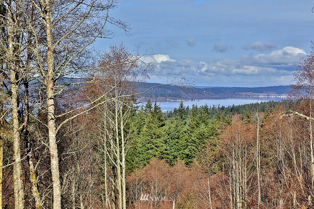 9 Goss Ridge Road Freeland, WA 98249 - Photo 1 of 12