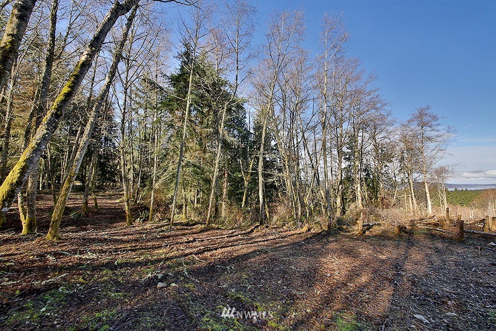 9 Goss Ridge Road Freeland, WA 98249 - Photo 4 of 12