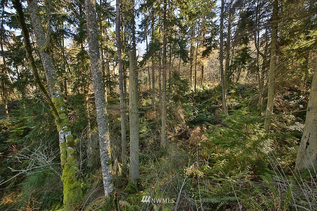 9 Goss Ridge Road Freeland, WA 98249 - Photo 7 of 12